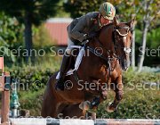 Guarducci Tea Rose GioCav2013 S5 1339 : Campionati Italiani Giovani Cavalli, Cattolica, Guarducci Francesco, Tea Rose, ph Stefano Secchi ©